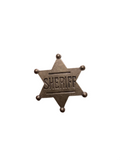 Sheriff Pin